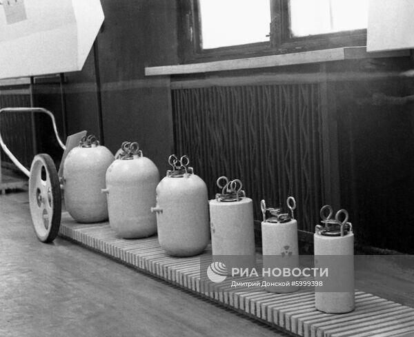 ��� ��������� ���������� ��� ��������� ���������, 1963 ���