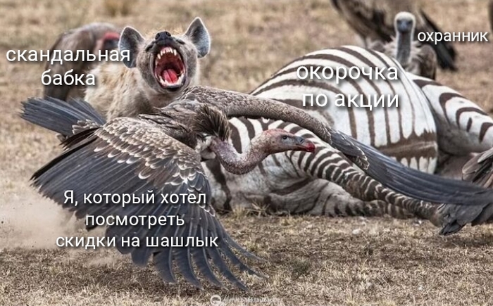    , ! ,  ,  , , , ,  ,  ,  ,   , -, , , , , , ,   