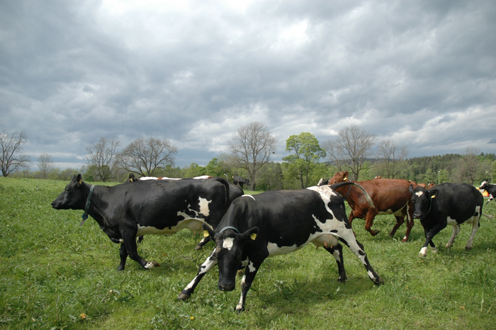 Радуются, что им не нужно ходить на стыдные свидания с парнями с сайтов знакомств.