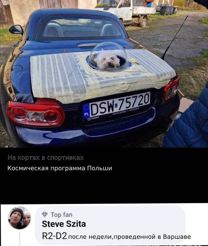 R2-D2 , , ,  , Telegram ()