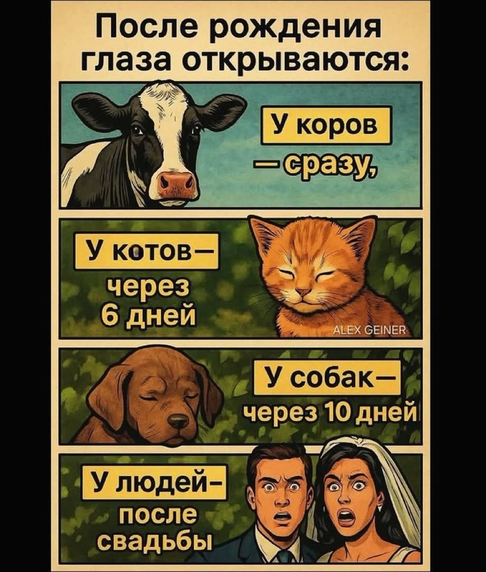  , ,   , , , RUTUBE, ,  ,  , , , 