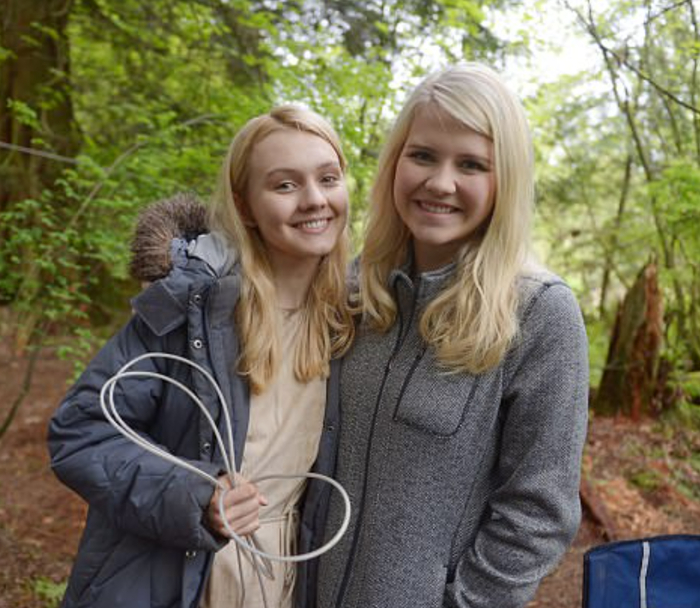   ,           "   " (2017)