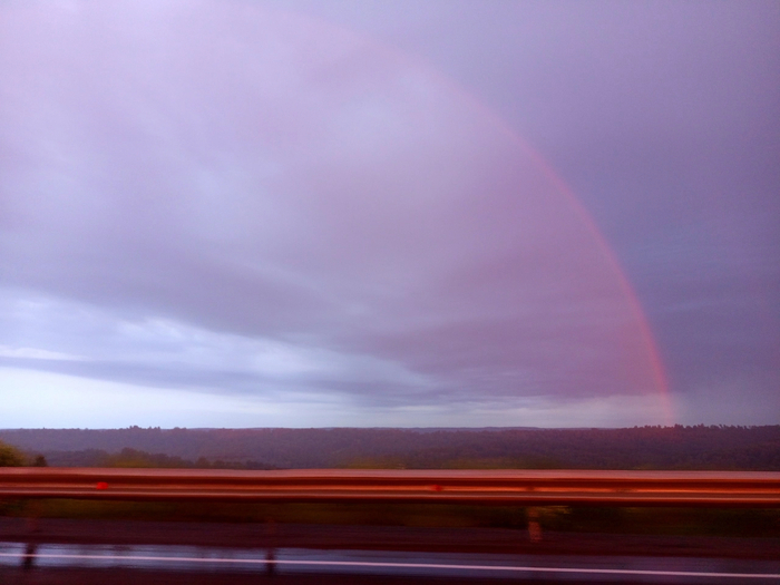 Красота - только миг