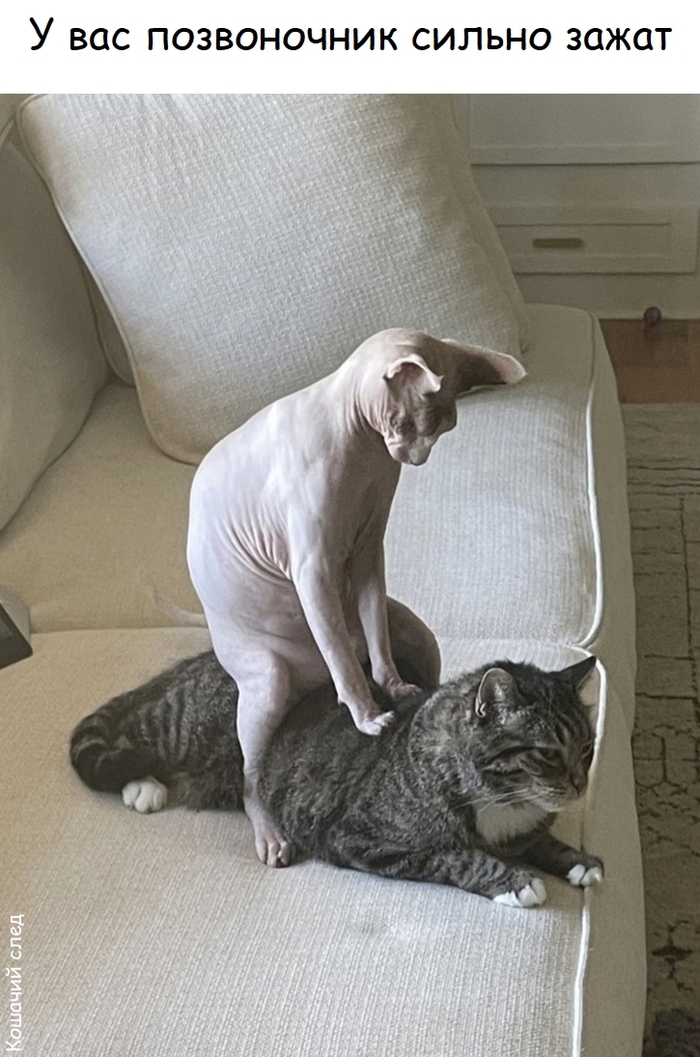   , ,  (), ,   