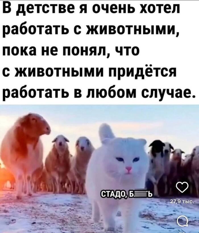 С возрастом мировозрение меняется
