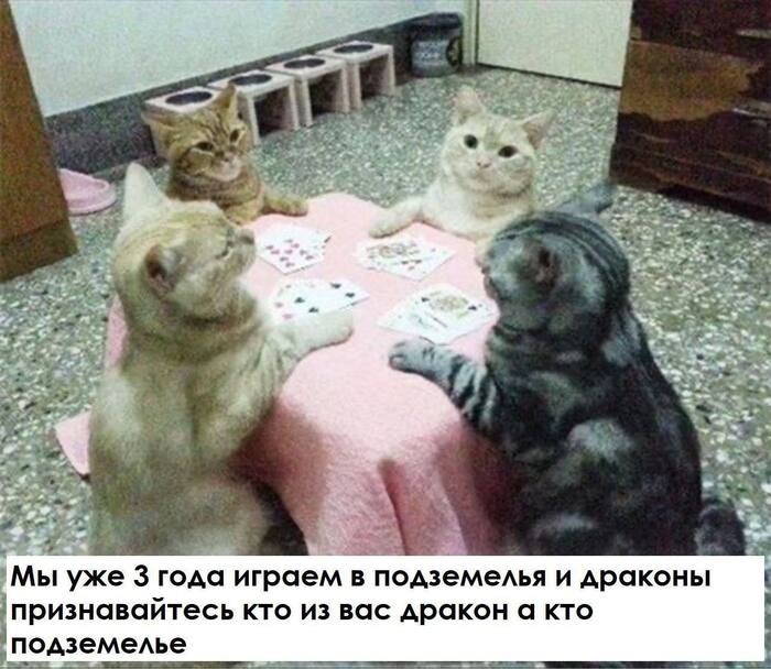    ,     ...