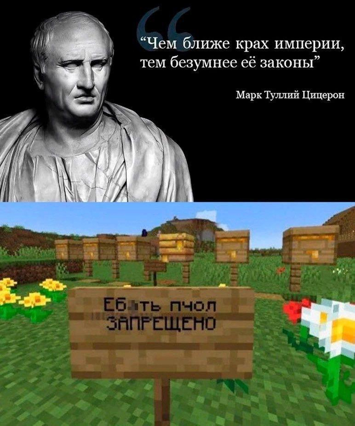  trapwalker    :       , , ,  , , , , , , ,   , ,  , Minecraft