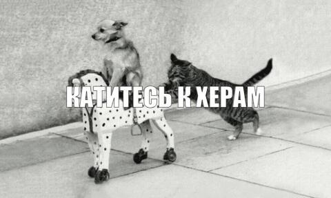  ... , , , Lexus, , , , ,  ,  
