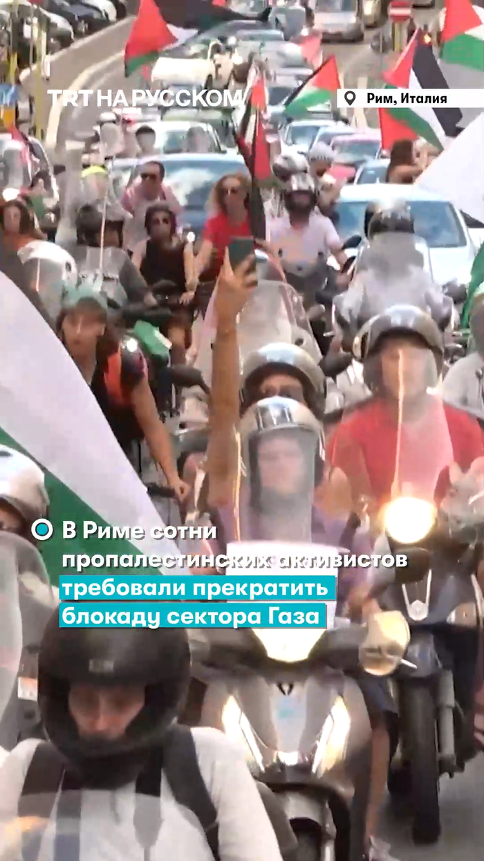    , , , ,   (), , , , YouTube,  , Telegram (), 