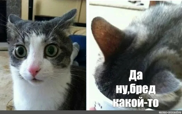 Ответ на пост «У главы Челябинского СК Колбасина арестовали счета почти на 4 млрд рублей»
