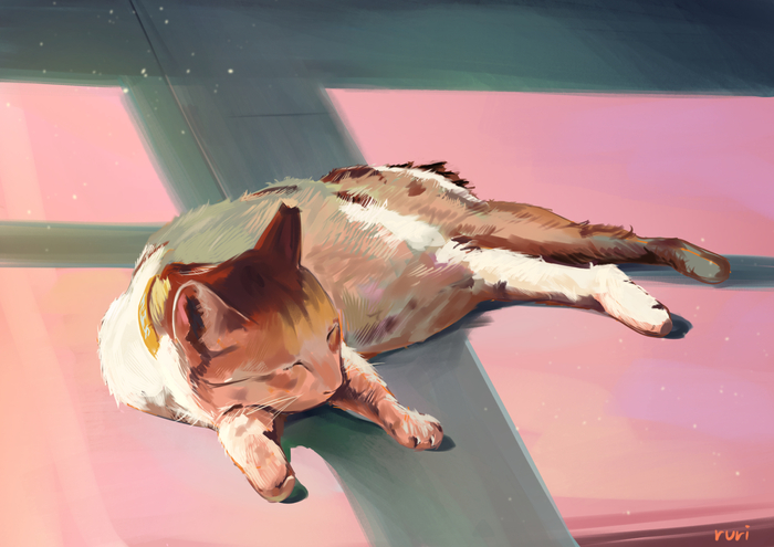 Дневной сон