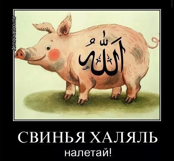      " "  -  - Telegram (), , , , ,  , , , ,   , 