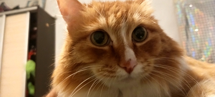 Здравствуйте дорогие!