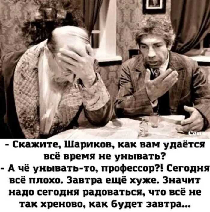  PALARIS   ,   ! , ,   ,   ,  , ,  