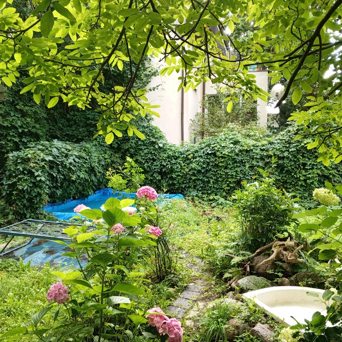 Маленький бассейн в старом саду