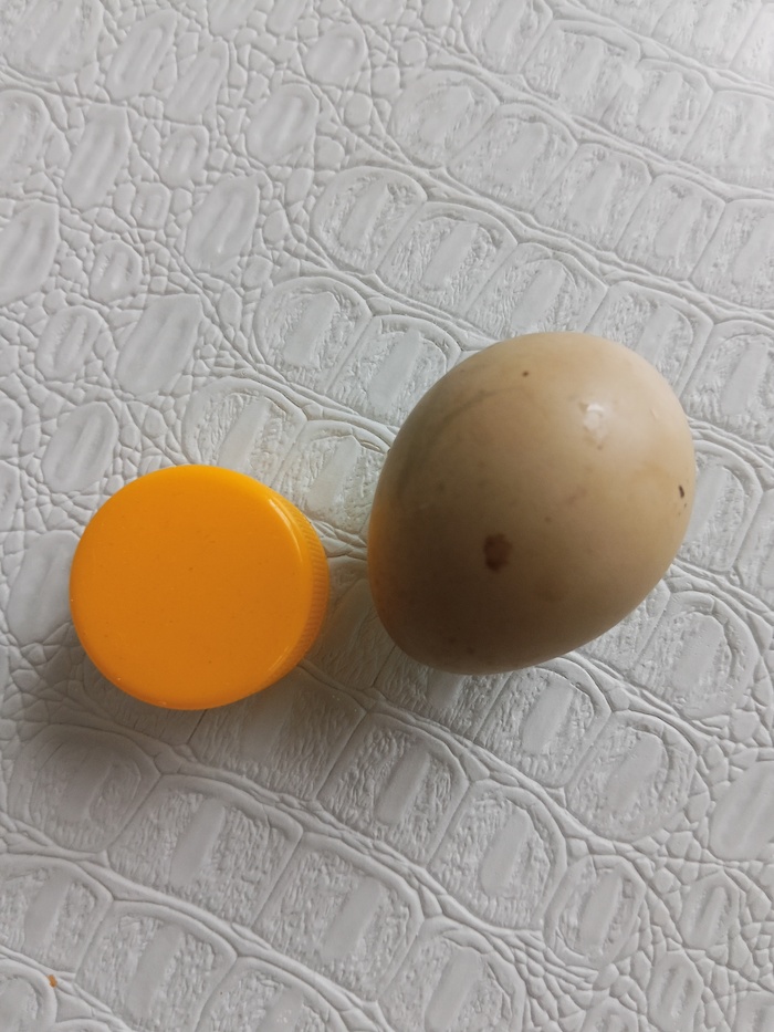  , ,  , --, , 