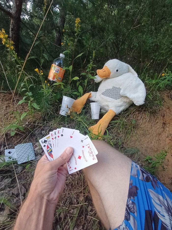 ���������� �������������.