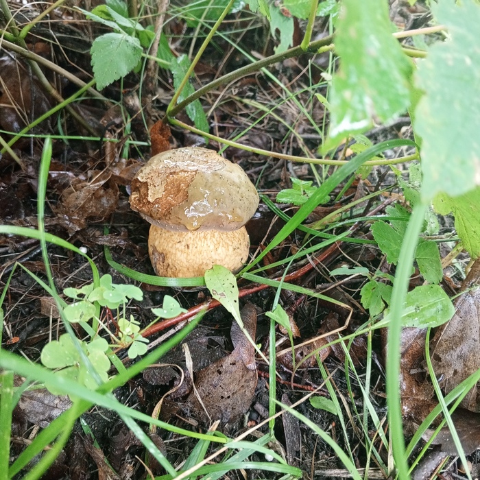       , , , , , 