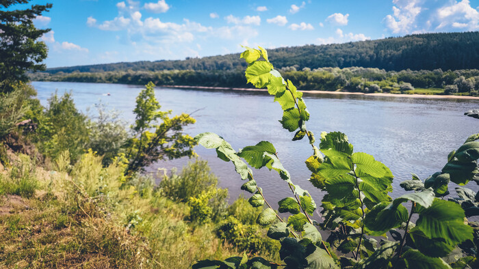 Ока. Как всегда, другой берег лучше и интересней - там пляжи и пологий берег, а у меня обрыв и кусты.