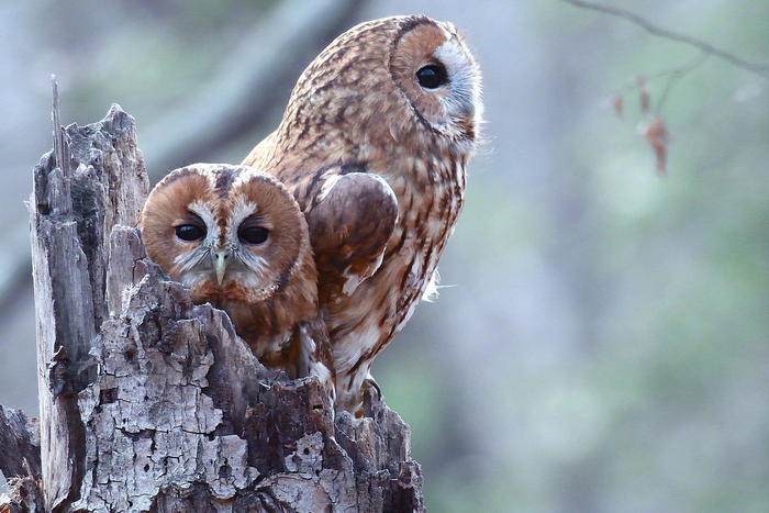 Стоп-кадр из видео