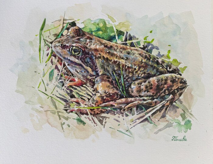 "������ �����"