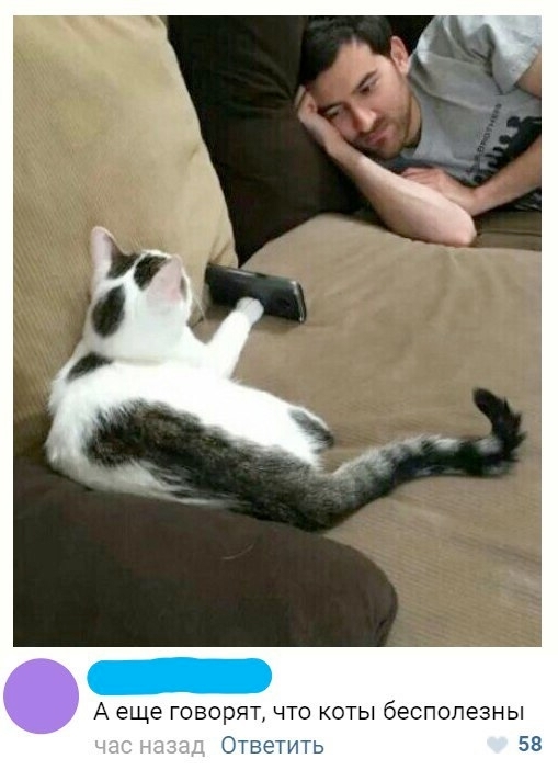  , , , , ,  , 