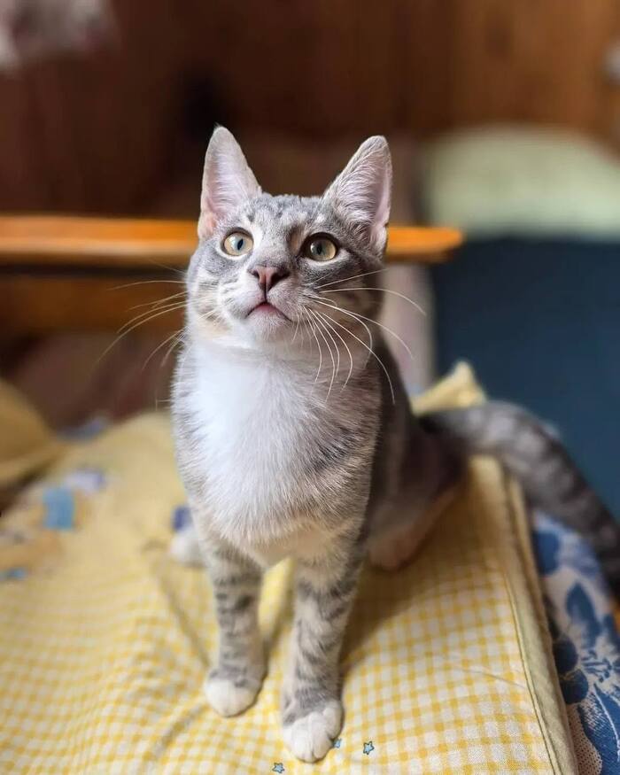 Самый лучший Сержик !