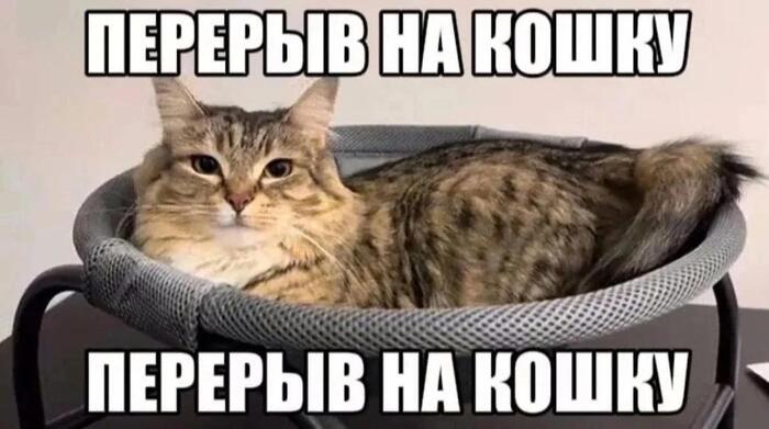    , ,   