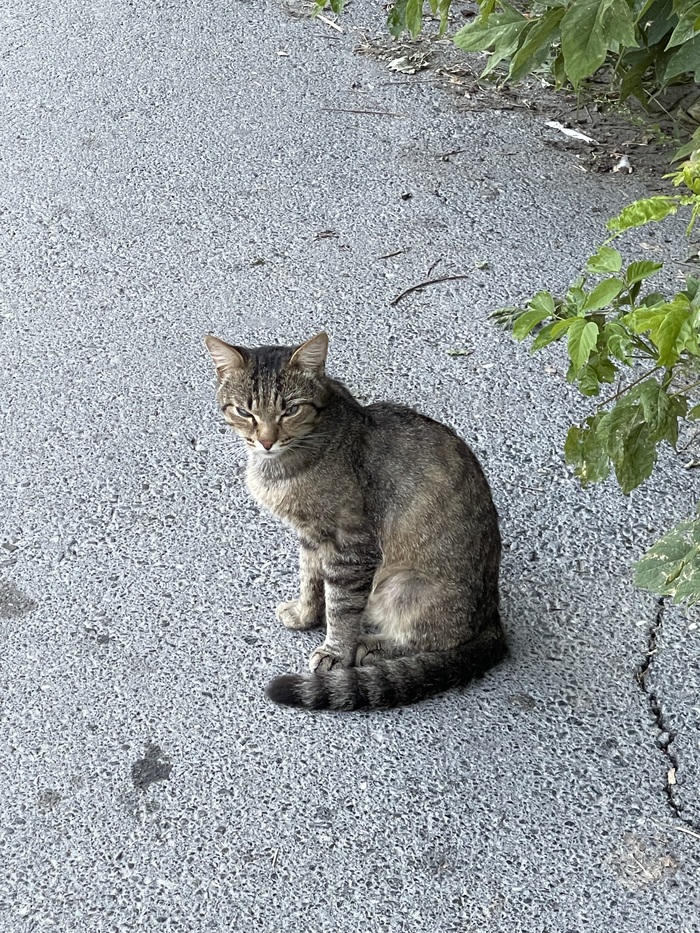 ������ ��� ��� �� ����)