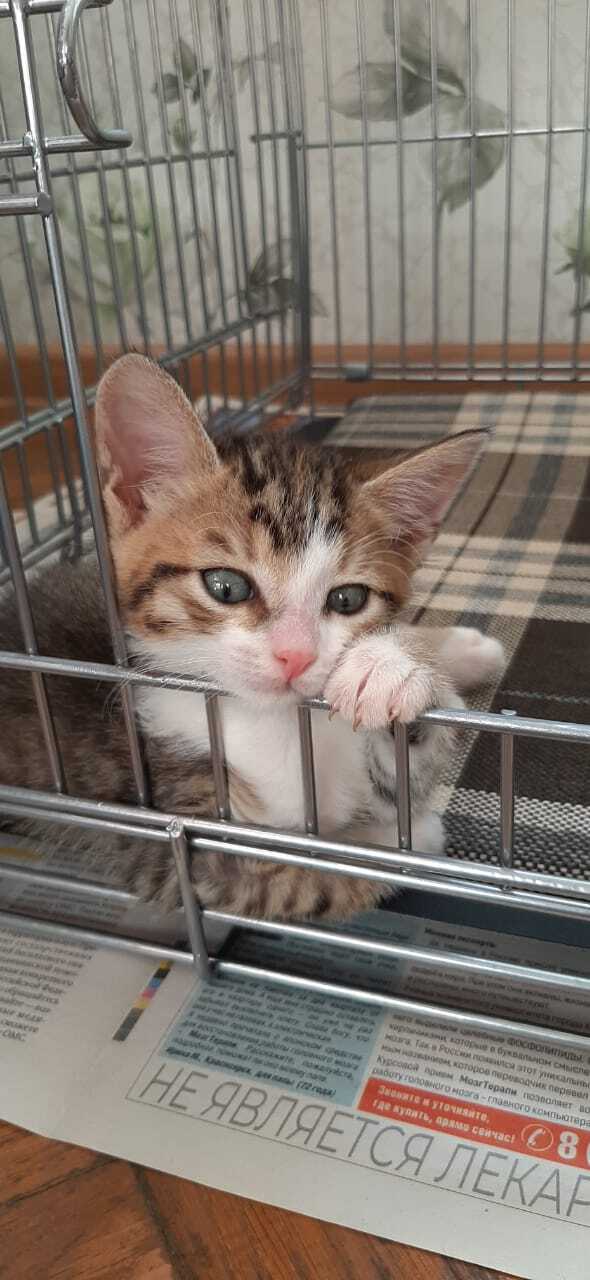           , ,  ,   , , 