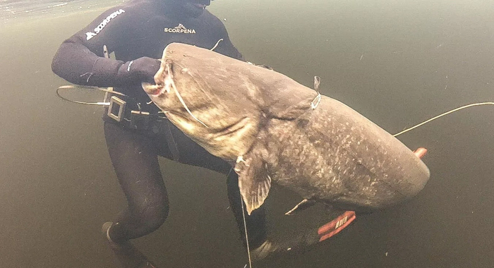 Хочешь, покажу фокус с исчезновением руки?