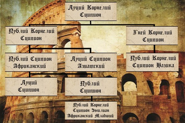 ����� ���� ���������