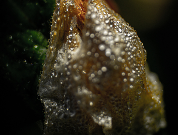 ����� � �������� �����