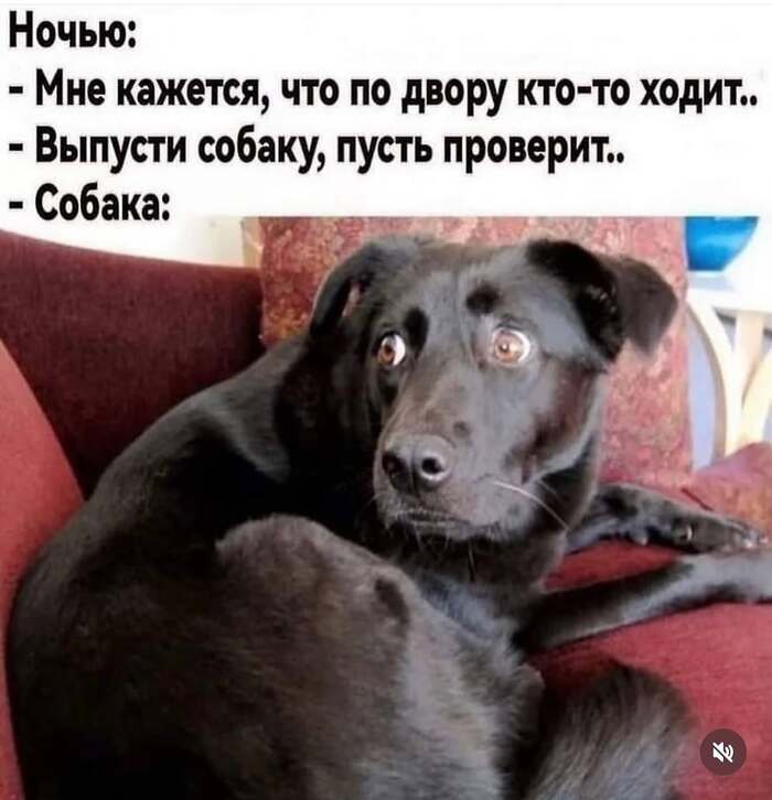   , , ,   