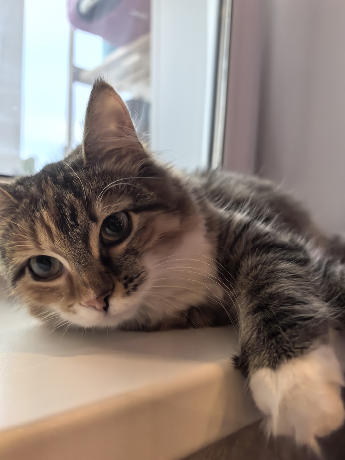 �������