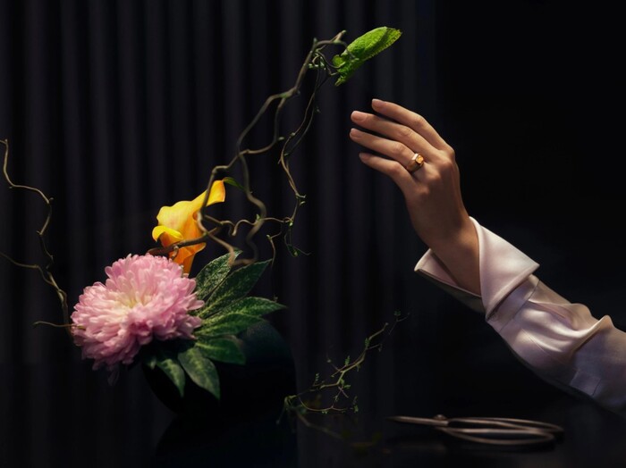 Light Ring by Spktrl