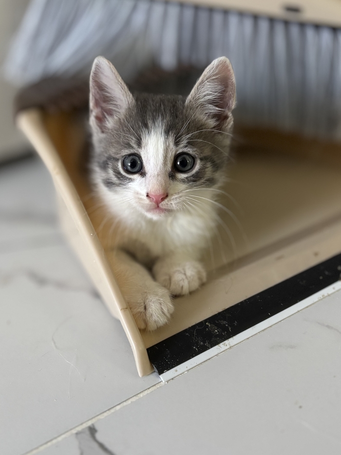        , ,  , , ,  ,  ,  , ,  ,  , , , , ,  ,  , 