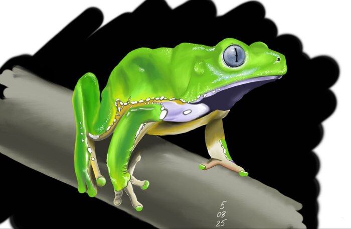 ...и затем долгое раскрашивание.