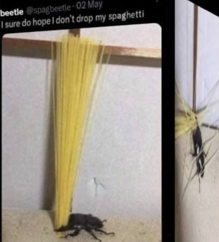 Надеюсь не уроню спагетти