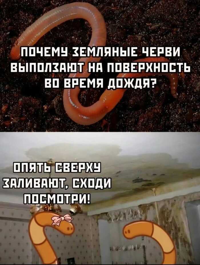   ! ,   ,  