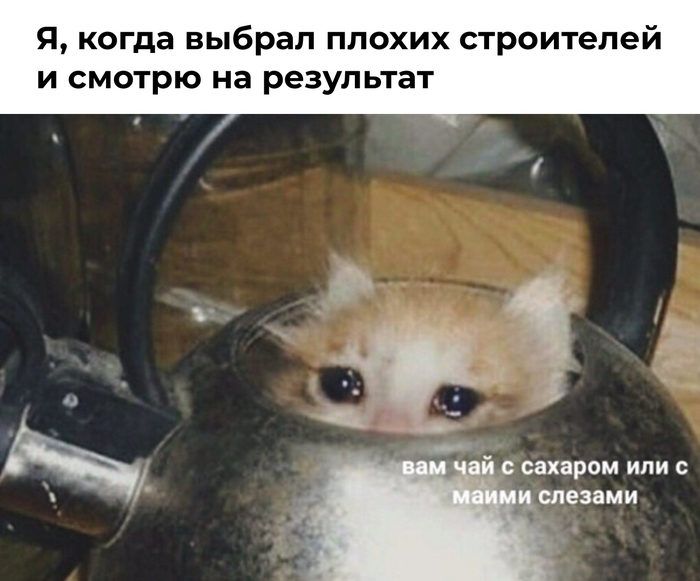          2025 :        Domeo , , ,  , , ,  