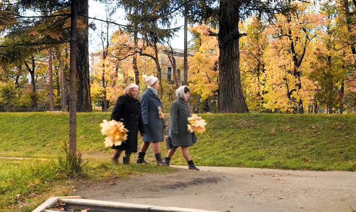Автор: Евгений Германович Схолль-Энгбертс (1898-1977)