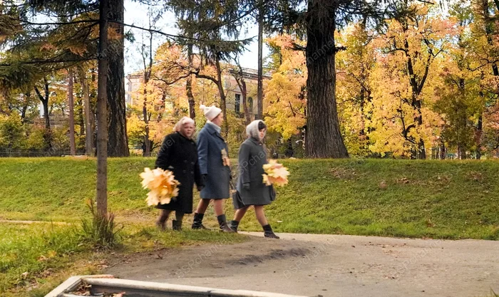 Жизнь Советского Ленинграда в 60-е годы. 20 раскрашенных фотографий История города, 20 век, 60-е, СССР, Ленинград, Санкт-Петербург, Старое фото, Фотография, Колоризация, Длиннопост