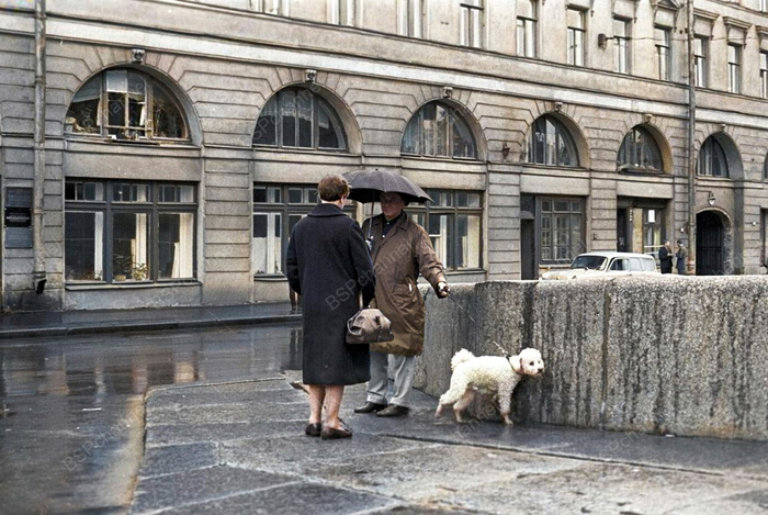 Автор: Всеволод Тарасевич