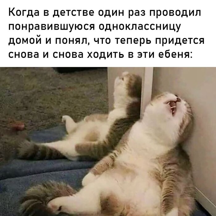 ���� ���� ��� ���������� �������