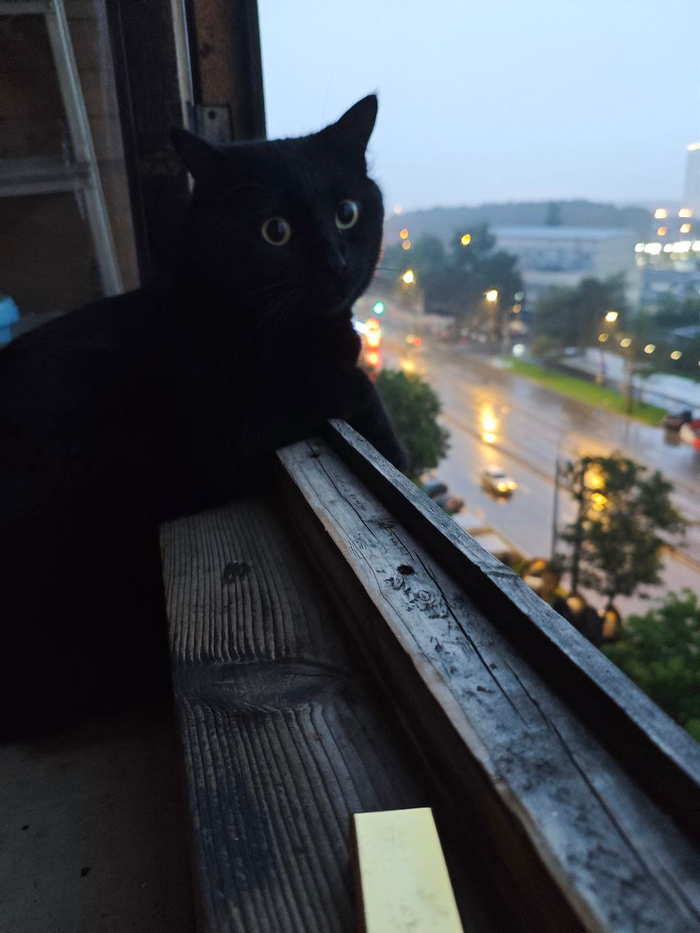   Black ,  , , 