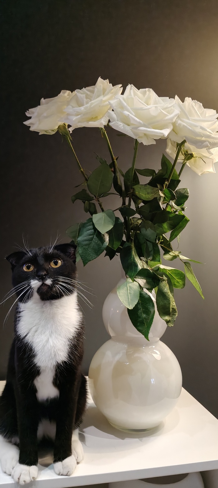 ��� �����