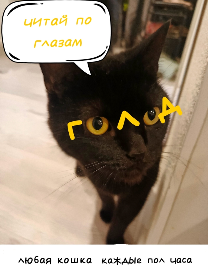   ,  , 