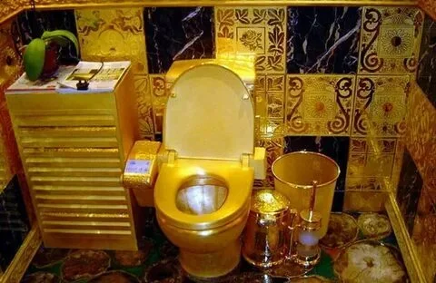 Reply to the post Very strange things - Fight against corruption, Toilet, Golden Rain, Reply to post, Longpost, A wave of posts