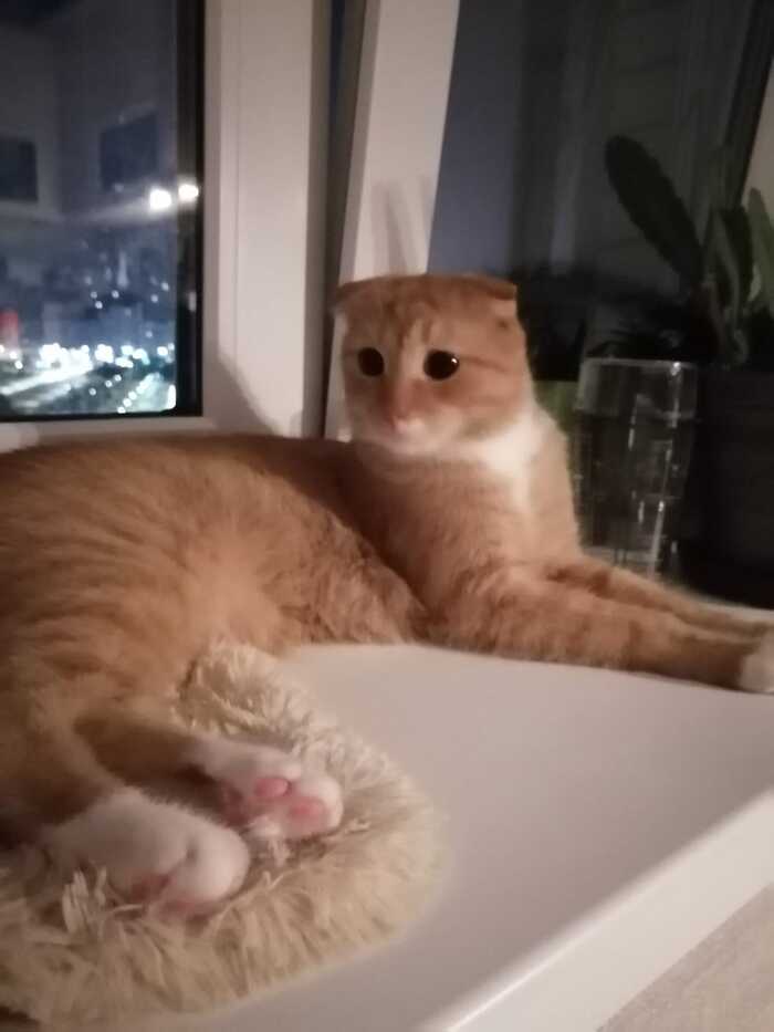       ,  ,  , 